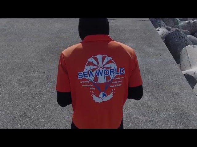 Sea World（シーワールド）
