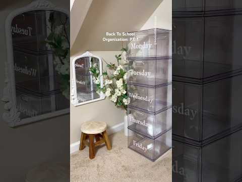 Epic Back to School Organization #shorts #backtoschool #organization #momhacks #momlife #closetgoals