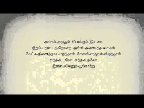 Ilamai Enum Poongaatru Tamil Karaoke Tamil Lyrics