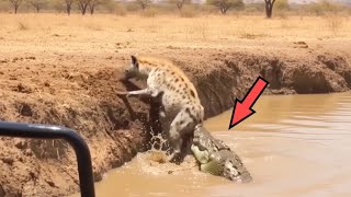 20 Momentos Épicos da Natureza Selvagem Gravados por Câmeras