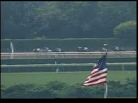 Tactical Cat - Tremont Stakes