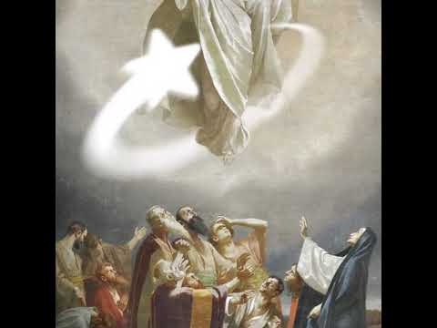 Quelly Woo - ASCENSION