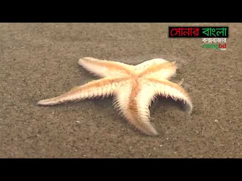 সৈকতনন্দিনী কক্সবাজারের গল্প