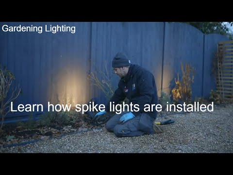Garden Lighting Ideas