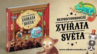 Nejpodivuhodnější zvířata světa - videoukázka