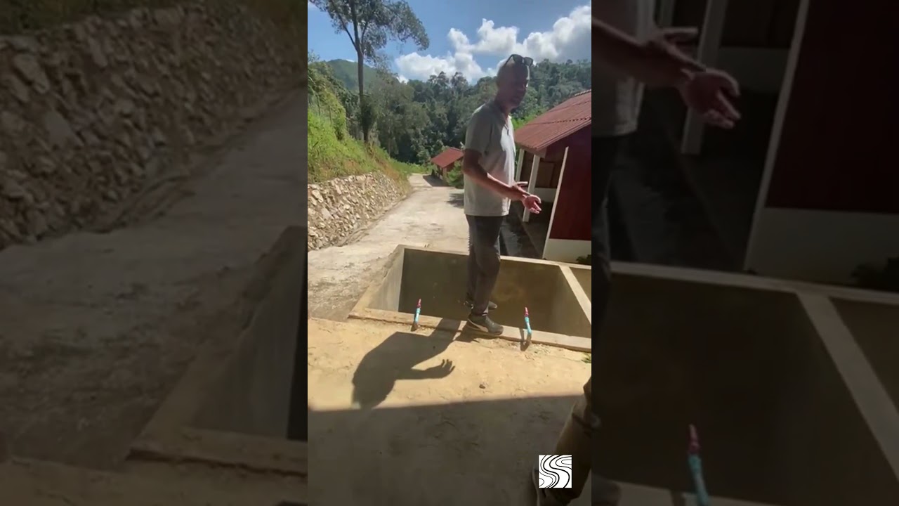 UpLao's Sandor Scheeres Explains Coffee Post-Harvest Steps in Namvang, Lao PDR #nature #agroforestry