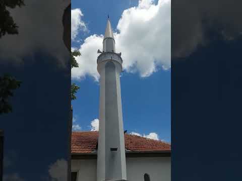 Ezani i drekës nga Arben Selimi