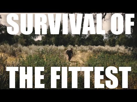 SERE training | What You Need to Know About the Course