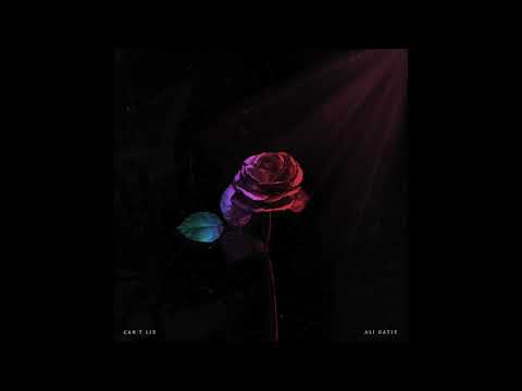 Ali Gatie - Can't Lie Prod @shumxi (Official Audio)