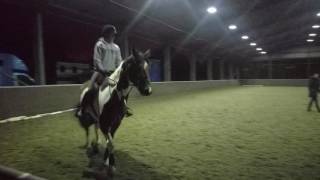 Emily and Fred Dressage Lesson (Vid 1)
