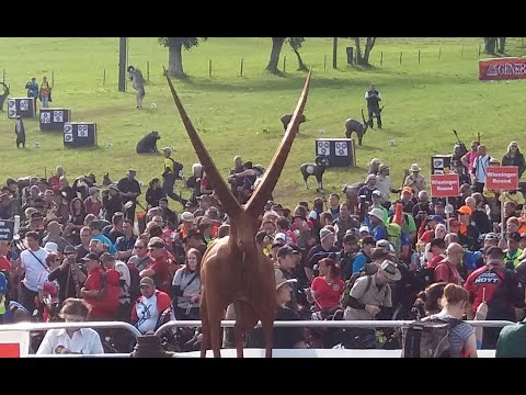 EUROPEAN BOWHUNTER CHAMPIONSHIP 2016 | EBHC 2016 OSTERREICH - AUSTRIA #archery #bow #championship