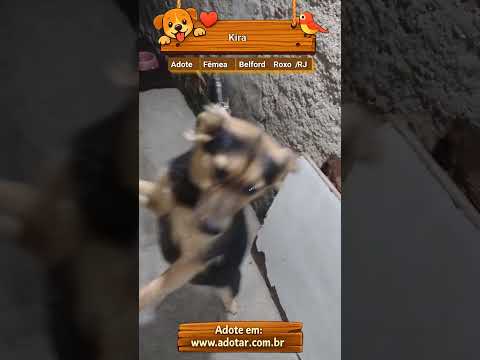 Vídeo de Kira 