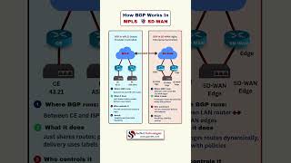 BGP in MPLS vs SD-WAN Explained | Networking Made Simple