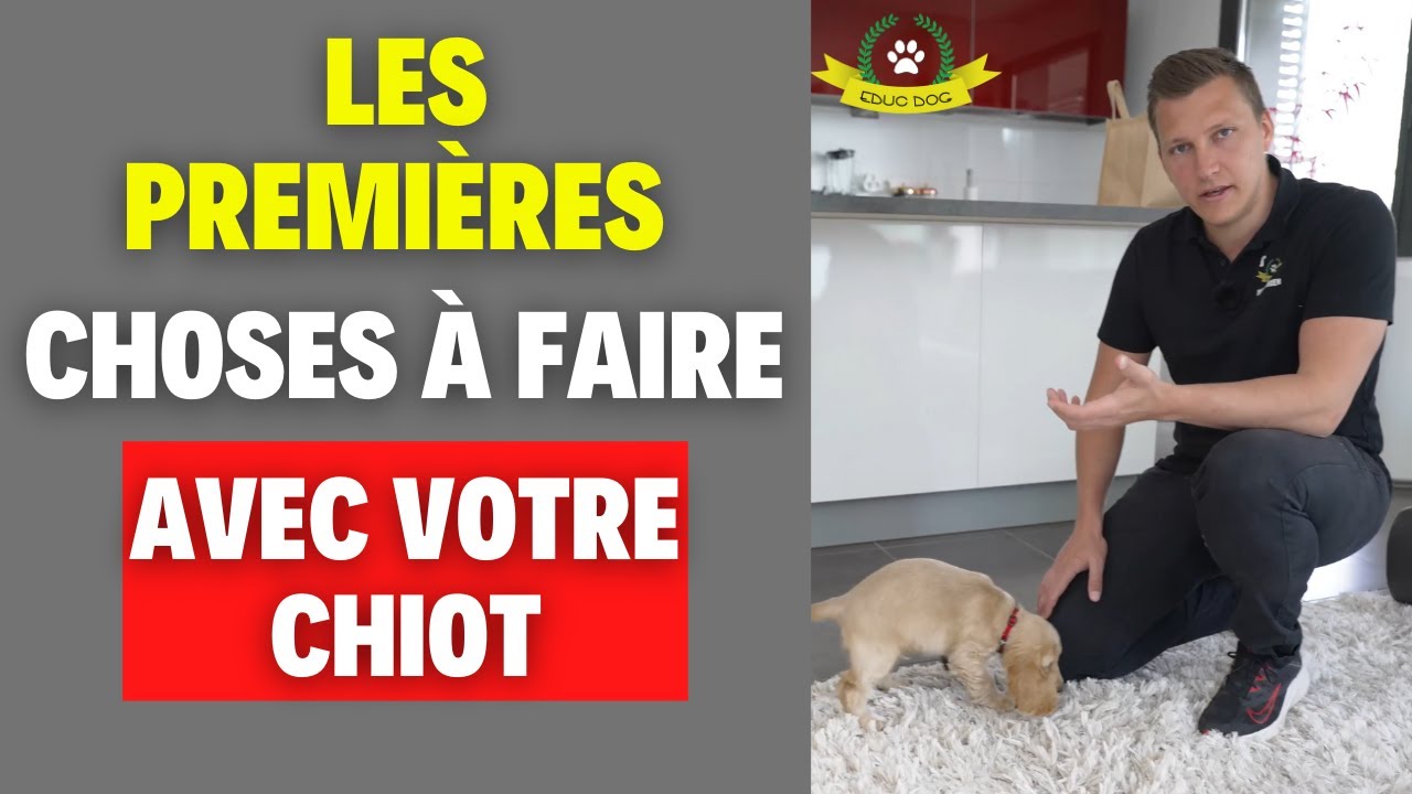 L'arrivée du chiot à la maison (ce qu'il faut faire et les erreurs à éviter)