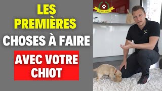 L'arrivée du chiot à la maison (ce qu'il faut faire et les erreurs à éviter)