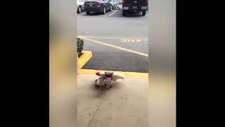 Video 2