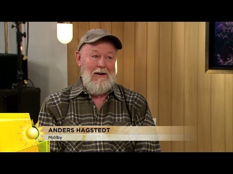 Dagens triss "Jag trodde inte det var sant" - Nyhetsmorgon (TV4)