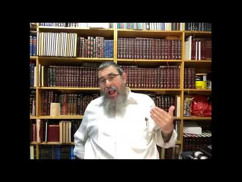 Live Parsha Class - Rabbi Paltiel