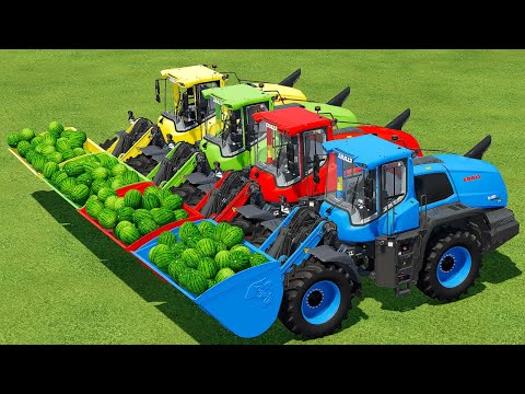 LOAD & TRANSPORT WATERMELONS WITH CLAAS LOADERS & COLORED TRACTORS - Farming Simulator 22