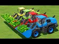 LOAD TRANSPORT WATERMELONS WITH CLAAS LOADERS COLORED TRACTORS Farming Simulator 22