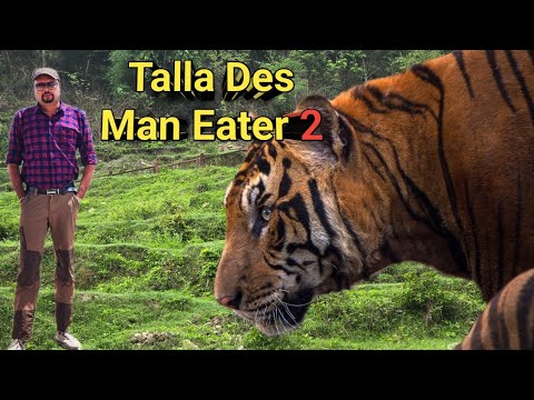 Talla Des Man Eater 2 । Tiger Hunting Stories By Jim Corbett । शिकार कहानी । जिम कॉर्बेट । Narration