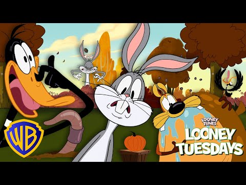 Autumn is Here! 🍁🍂 | Looney Tuesdays | #kidscartoons @wbkids
