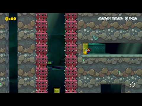 [SMM2] 3D World Hip Endurance by Fly (+WR)