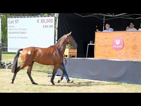 Best of Show Lumet 2023