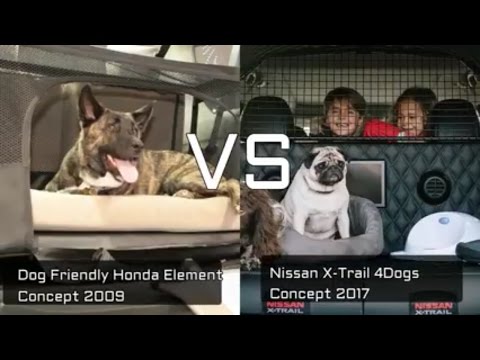 Nissan X-Trail 4Dogs vs Dog-Friendly Honda Element Car for Dogs Concept