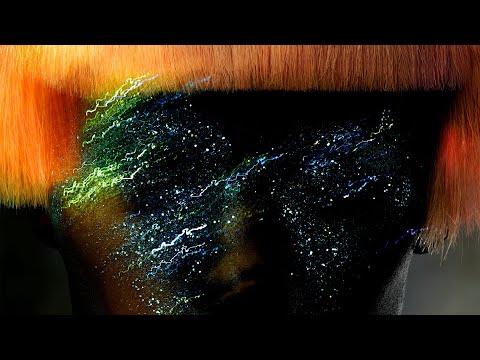 VIER - FRANKFURT (Machinedrum x Thys x Holly x Salvador Breed)