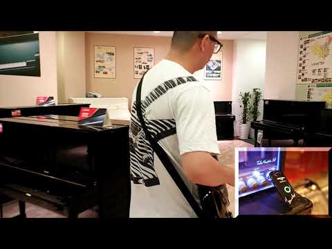 SWIFF AUDIO Guitar Wireless System WS-50