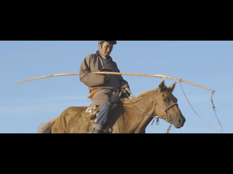The Mongolian-Smithsonian Deer Stone Project (DSP) | Smithsonian Global