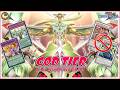 SUPREME KING ZARC DESTROY CENTUR ION META Odd Eyes Arcray Dragon GOD TIER Yu Gi Oh MASTER DUEL