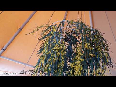 TOT A PUNT  Event & Catering