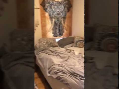 Nice 4 bed near BU property video