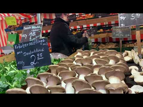 2022: Stuttgarter Wochenmarkt - der Obst- und Gemüsestand von Timo Somnitz