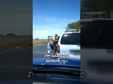 Meesolas - No Nothing In Between For The Kaltenkaux Police County Sheriff - Misc Originals