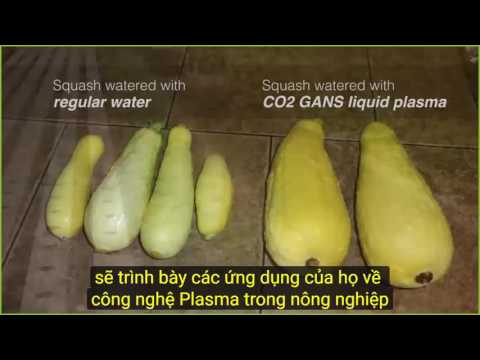 2016 12 17 AM Public Teaching in Vietnamese - Buổi giảng công cộng bằng tiếng Việt