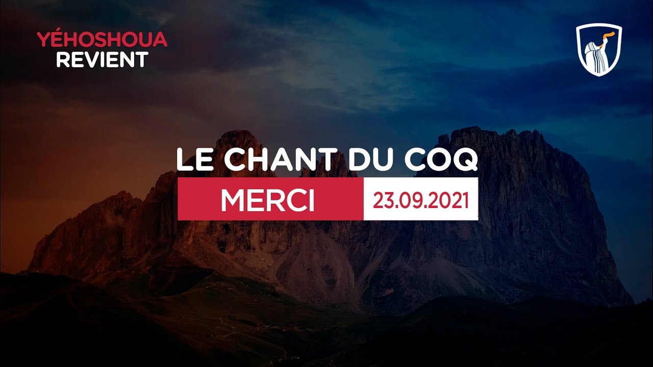 Thumbnail of video: Merci