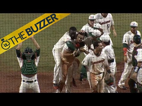 This walk-off homer celebration had everything