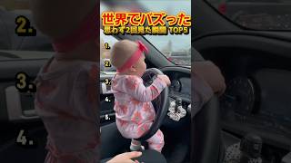 【俺の厳選】世界でバズった動画集🐾Part17