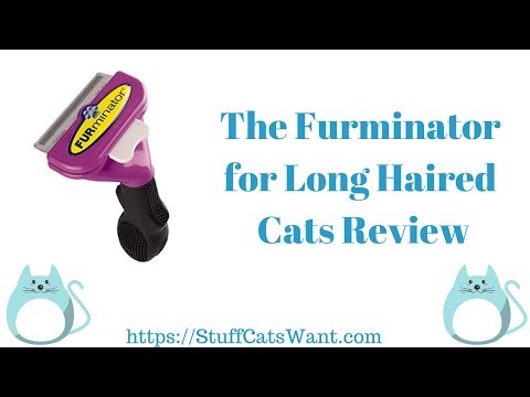 Furminator for Long Haired Cats Review