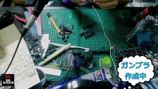 ガンプラ作成【MGヘビア改】