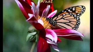 The Journey ~ Lea Salonga