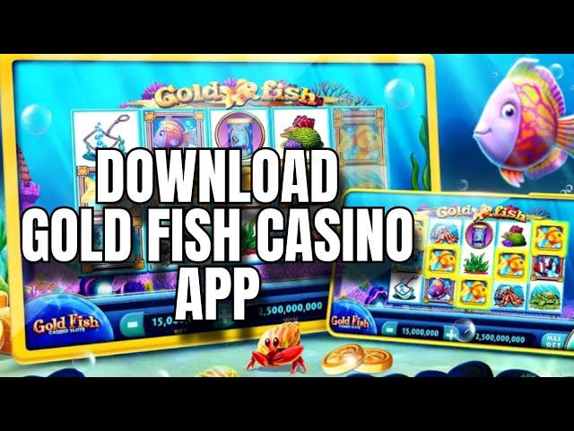 Gangsta Casino Promo Code – Schritte und Methoden