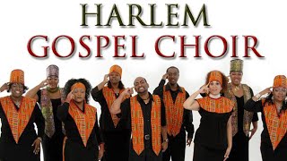 'Chiasso News - Harlem Gospel Choir al teatro di Chiasso' episoode image
