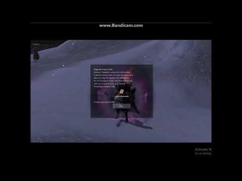 metin2 Phoenix sura bm lvl 61 de vanzare