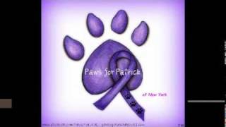 Patrick the miracle dog&#39;s story