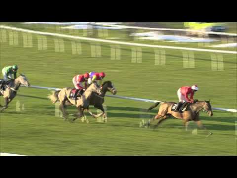 2014 Challow Novices' Hurdle - Parlour Games - Racing UK