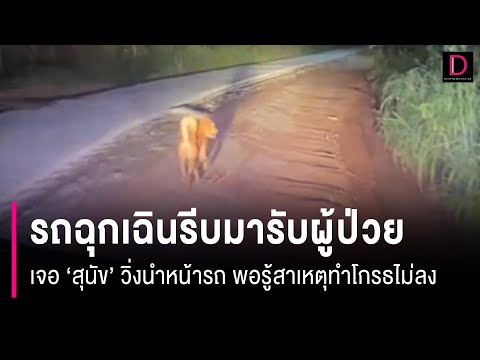 คลิกเพื่อดูคลิปวิดีโอ